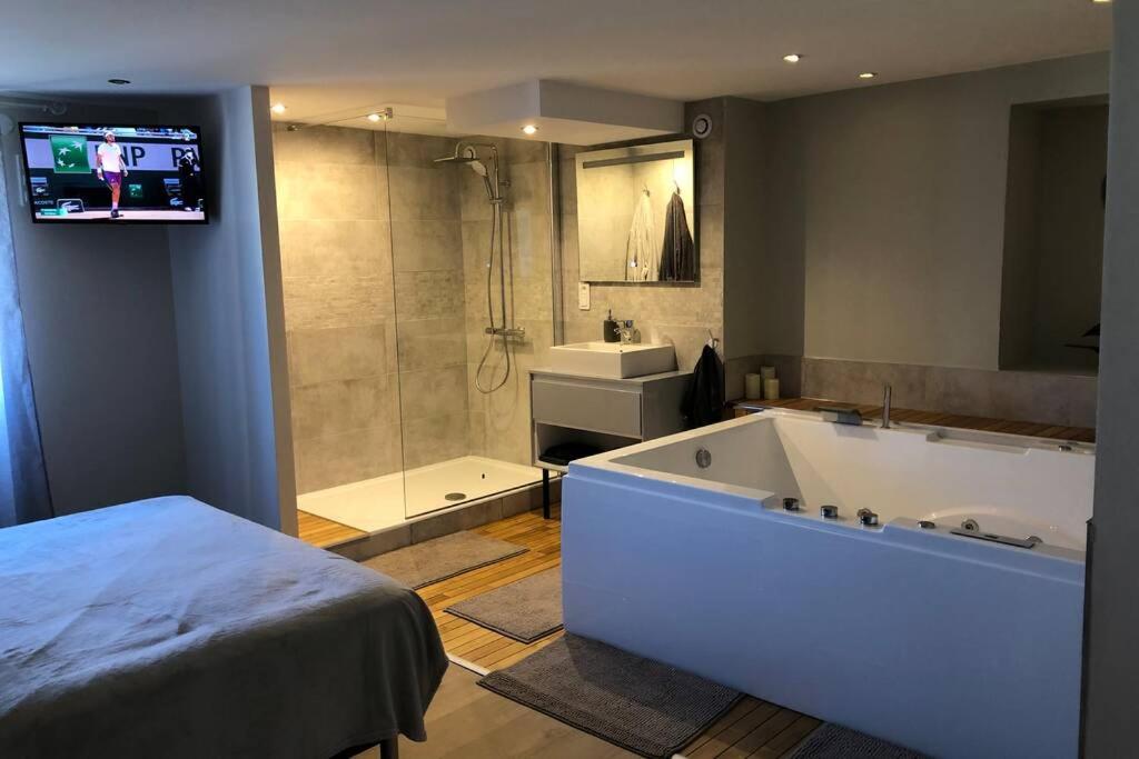 Appartement Nid d’amour- SPA- Superbe appartement avec jacuzzi 260 Avenue du Maréchal Juin 39100 Dole