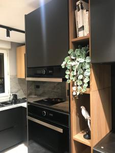 Nid Douillet - BEL APPARTEMENT avec GARAGE