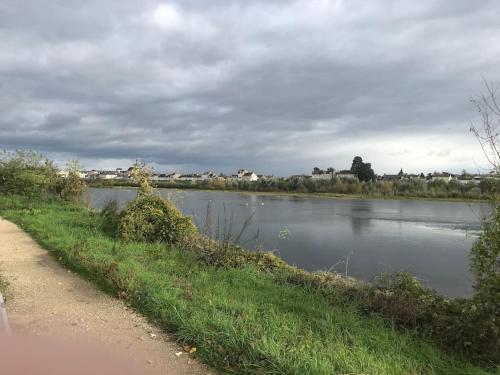 Nid douillet bord de Loire