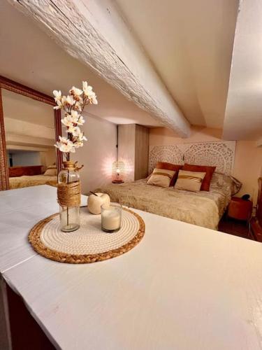 Nîmes centre : superbe appartement atypique