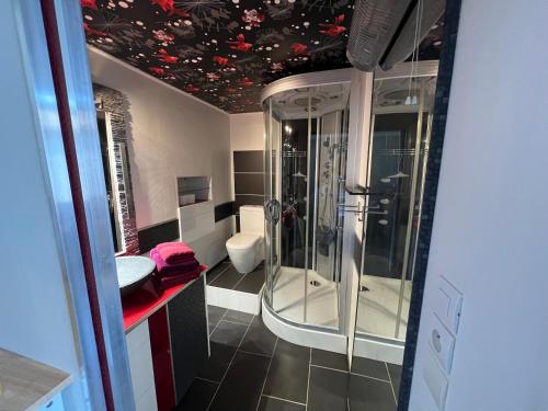 NIMES Superbe appartement duplex climatisée