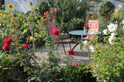 No. 73 - Idylle im Rebenmeer