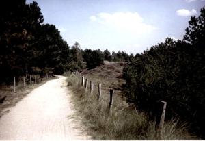 Nordseeoase