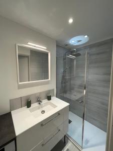 Nouveau Superbe grand T2 centre ville