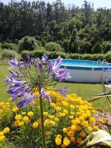 Nova Alofa holiday home
