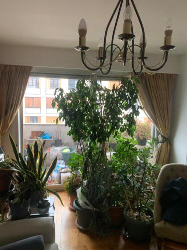 Nuage paris 15