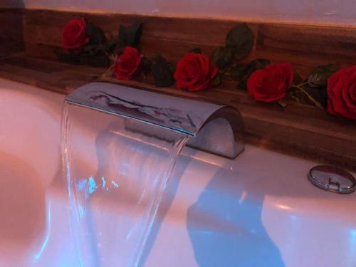 Nuit romantique au cœur de MÂCON avec spa et bouteille offerte