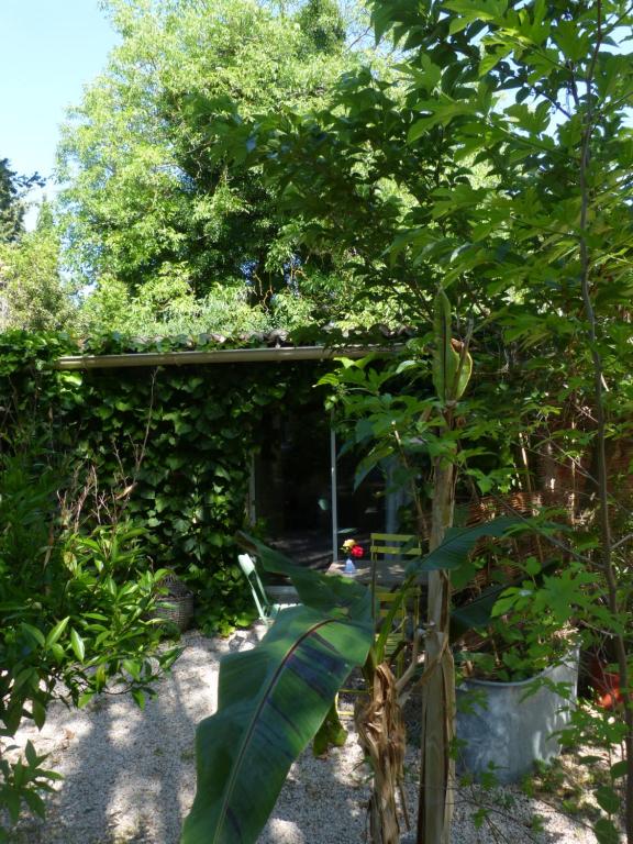 Ô Chataignier One bedroom Cannes