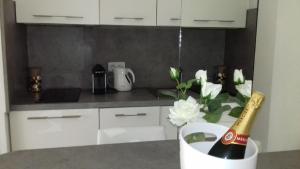Ô Chataignier One bedroom Cannes
