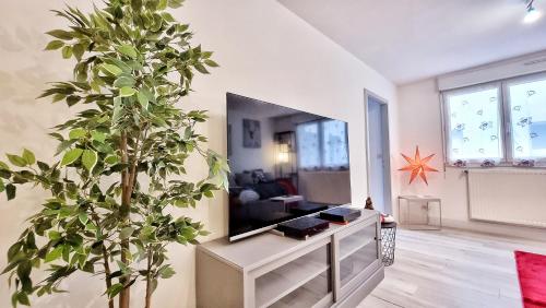 O' Coeur d'Obernai - Cozy - RBNB