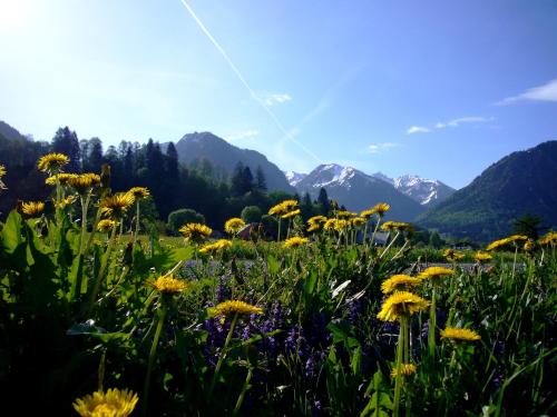 Oberstdorfer Bergwelt 218