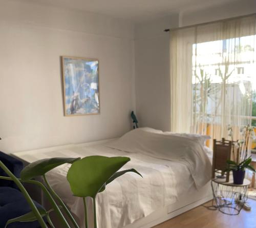 Océan front apartment