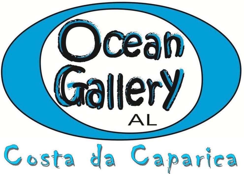 Ocean Gallery 2 Rua Joaquim Pedro 4º Esquerdo, 2825-345 Costa da Caparica