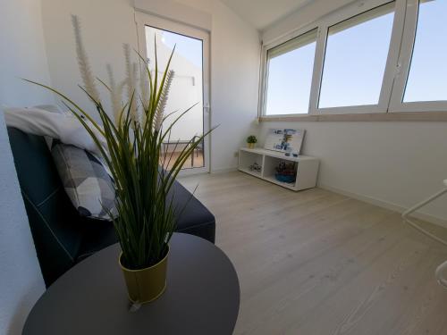 Ocean Suite