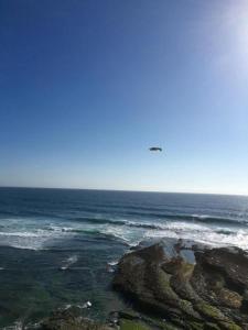 Ocean View - Duplex Apartment Center