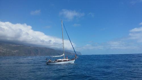 Ocean View Madeira