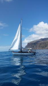 Ocean View Madeira