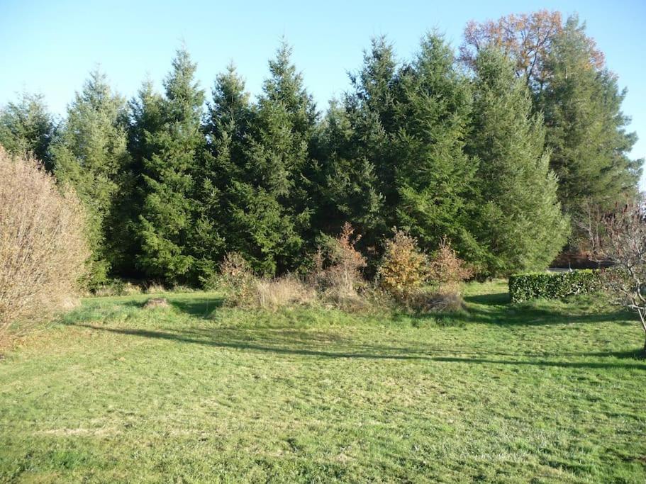 ODYSSEE A203 Charmant appartement sur les pistes 73300 La Toussuire