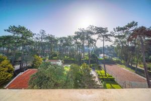 Ofir Dream House