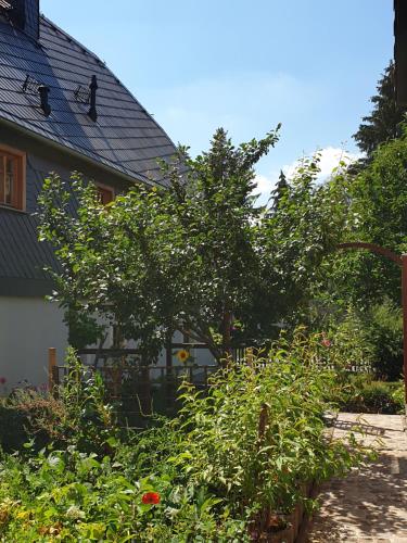 Ökologische Ferienwohnung Becker