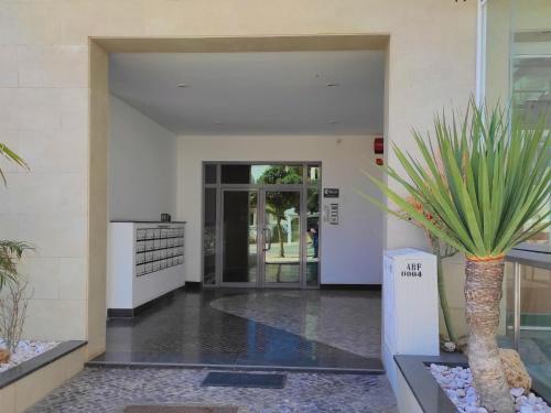 Olhos de água beach house