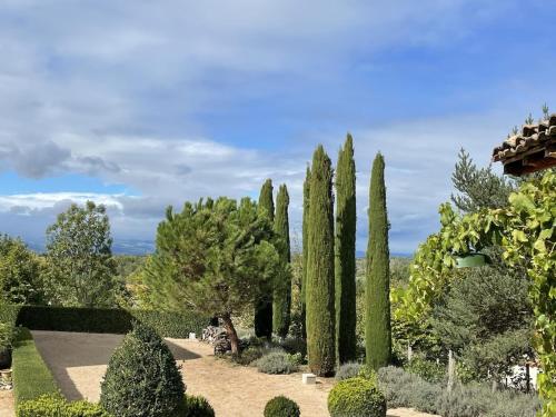 On dirait LE SUD