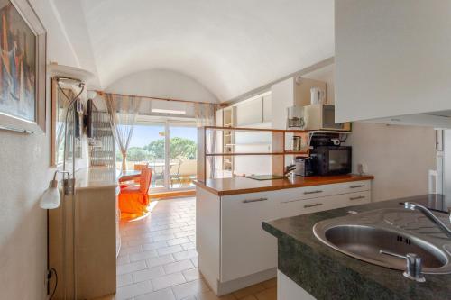 One bedroom appartement at Antibes 300 m away from the beach with sea view shared pool and furnished terrace