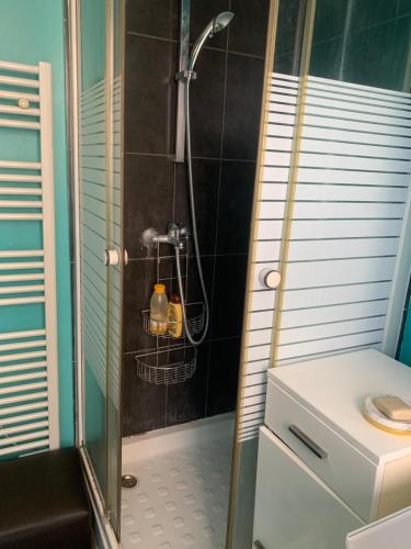 One Bedroom Appartement - Paris