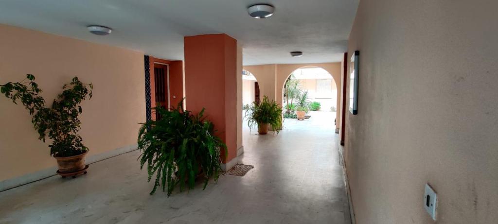 One bedroom appartement with shared pool enclosed garden and wifi at Monchique 8550-343 Monchique