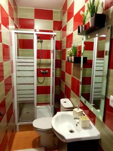 Oporto Cozy Studio