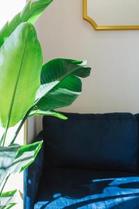 ORM- Pinto Bessa Apartment