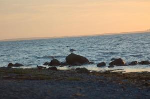 Ostsee-Ferienoase-3-Raum-App-Typ-1