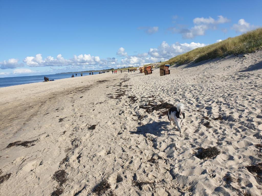 Ostsee, Strand & Me(e)hr erleben, Speziell für Familien, Fe/wo \ 26A Marlower Straße, 18311 Ribnitz-Damgarten