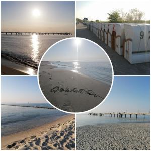 Ostsee-Wiesenpieper (Graal-Müritz)