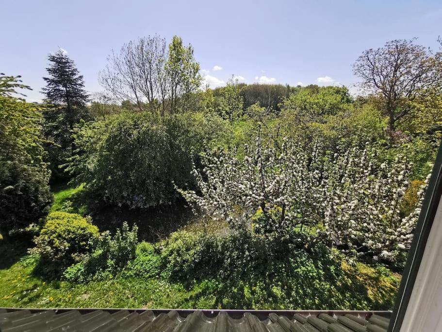 Ostseeblick im Andersenhof 3 Nonsfeld, 24376 Kappeln