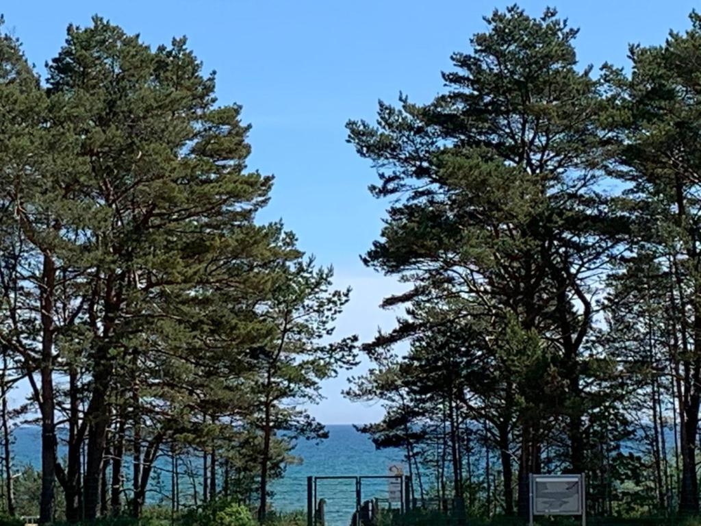 Ostseeblick Rügen 106 Südstrand 1. Etage Wohnung 118, 18609 Binz