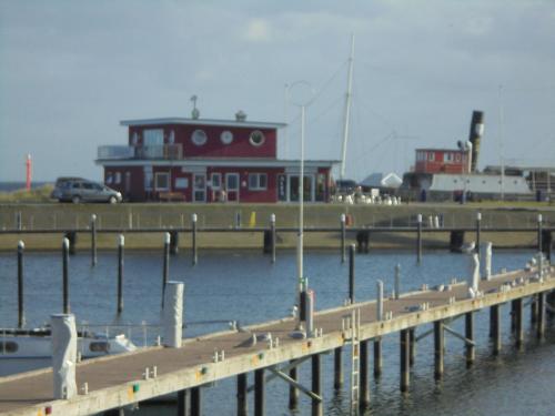 Ostseemuschel