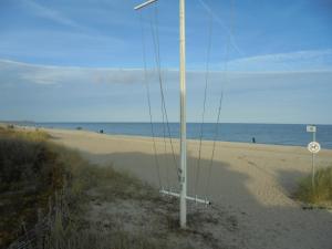 Ostseestern