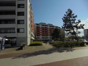 Ostseestern
