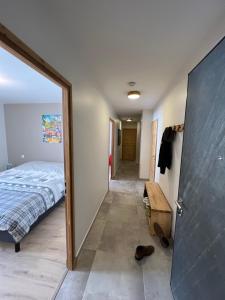 Appartement Oz sur son 31 Oz  en oisans station 38114 Oz Rhône-Alpes