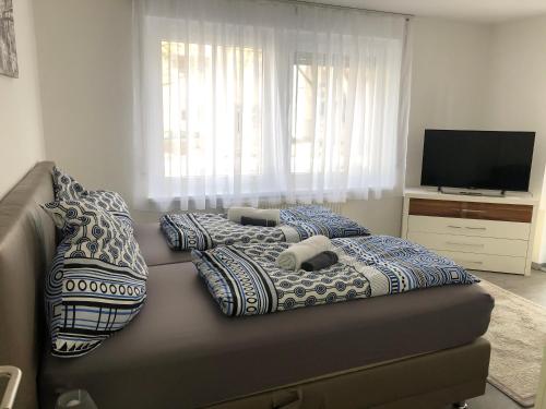 Özkurt-1