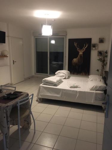 Paisible Appartement