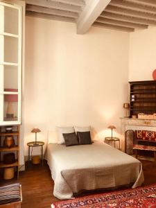 Palais des Papes - Appartement dans Hôtel Particulier