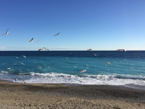 PALAIS ELISABETH PROMENADE DES ANGLAIS