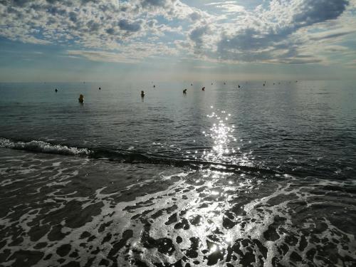 Palm Beach