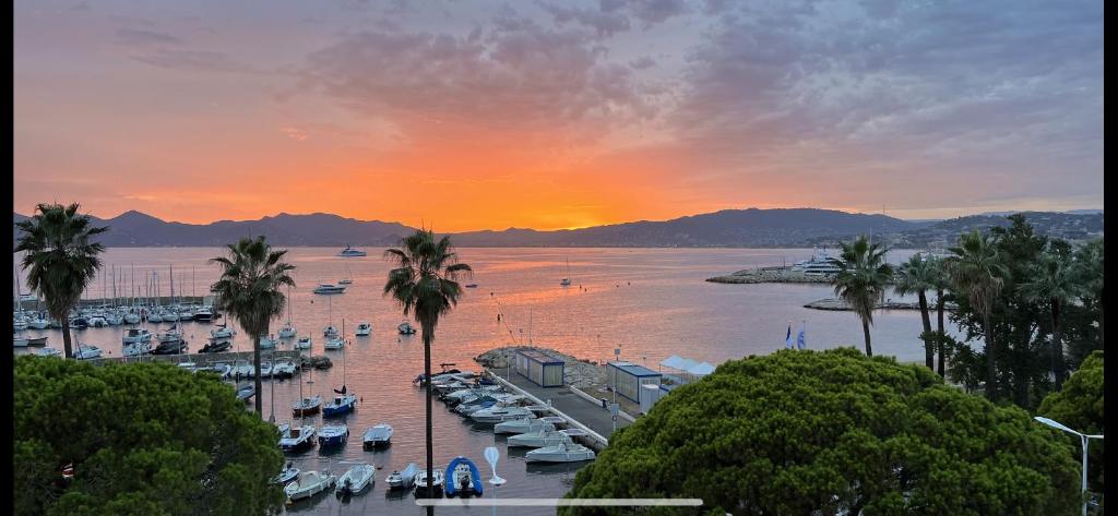 Palm croisette front de mer1 125 Boulevard de la Croisette, 06400 Cannes