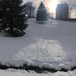 Pano Hohegeiß App 363 mit Wlan