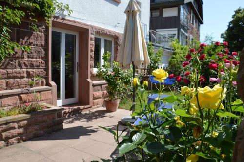 Panorama-Blick Miltenberg, 3 Pers., zentr., am Main, Terrasse, Bootverleih, P