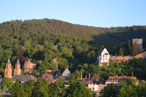 Panorama-Blick Miltenberg, 3 Pers., zentr., am Main, Terrasse, Bootverleih, P