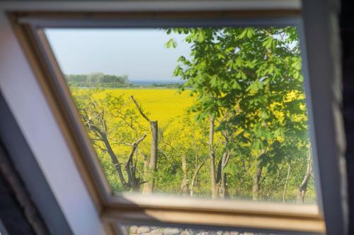 Panorama-Loft Fehmarn mit Meerblick